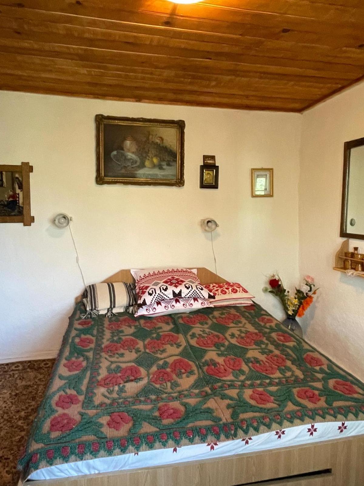 Hotel Casuta Fa Rai Din Ce Ai Buzau Exteriér fotografie